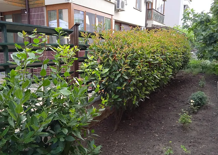 в непосредствена близост до плажа Apartment Burgas