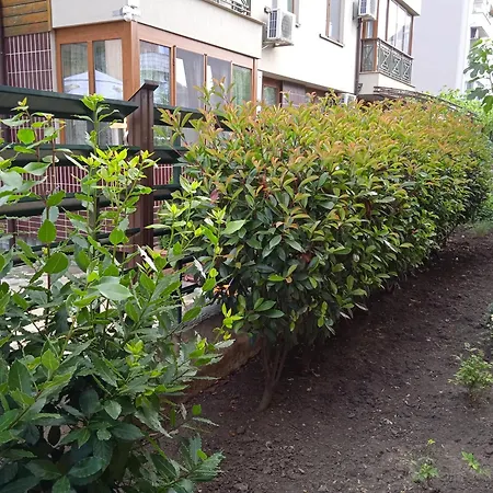 в непосредствена близост до плажа Apartamento Burgas