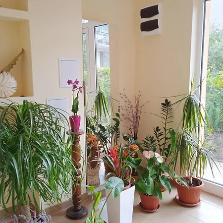 Apartment в непосредствена близост до плажа Burgas